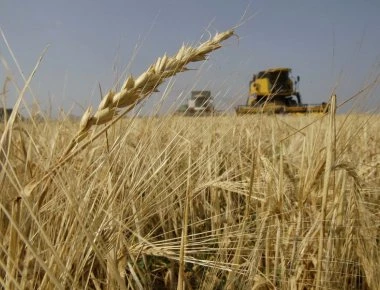 Πρώτα σε εξαγωγές τα ρωσικά σιτηρά λόγω...αμερικανικών κυρώσεων